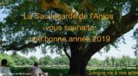 La Sauvegarde de l’Anjou vous présente ses meilleurs vœux pour l’année 2019 !