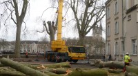Avant même que le PLUi d’Angers Loire Métropole soit opposable, sans que l’urgence ne s’impose, des arbres centenaires sont abattus place la Rochefoucauld et place de la Poissonnerie, au cœur […]