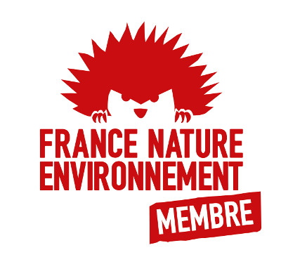 Logo de FNE