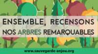 La Sauvegarde de l’Anjou lance un grand inventaire participatif des arbres d’Angers & Agglomération Recenser pour mieux protéger les arbres qui nous entourent ! La Sauvegarde de l’Anjou lance le […]